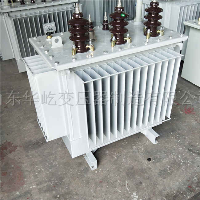 广州S20-1000KVA油浸式电力变压器